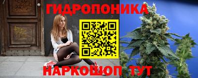 твердый Заводоуковск