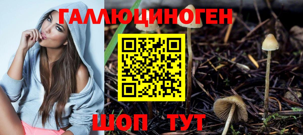 Михайловск  Галлюциногенные грибы прущие грибы  Галлюциногенные грибы MAGIC MUSHROOMS  купить  цена  Вход с VPN 