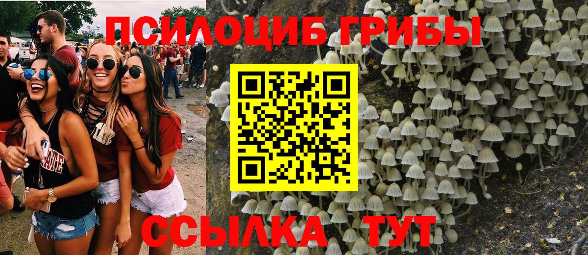 Галлюциногенные грибы мухоморы Михайловск