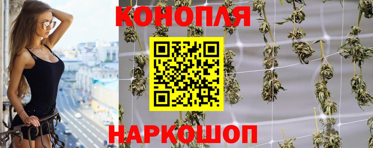 Конопля MAZAR Михайловск